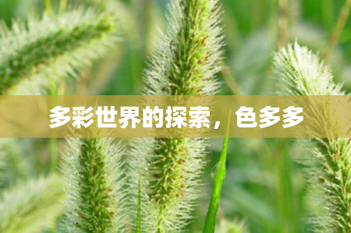 多彩世界的探索，色多多