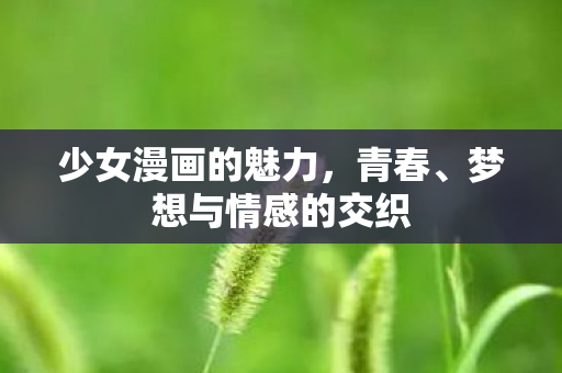 少女漫画的魅力，青春、梦想与情感的交织