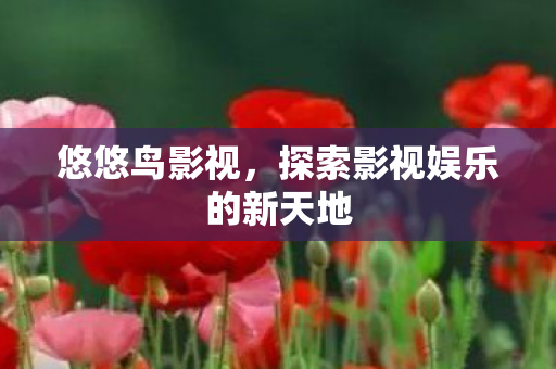悠悠鸟影视，探索影视娱乐的新天地