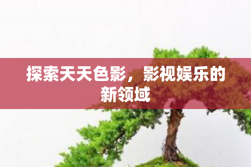 探索天天色影，影视娱乐的新领域