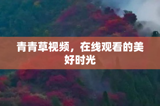 青青草视频,在线观看的美好时光 青青草视频,在线观看的美好时光