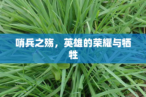 哨兵之殇，英雄的荣耀与牺牲