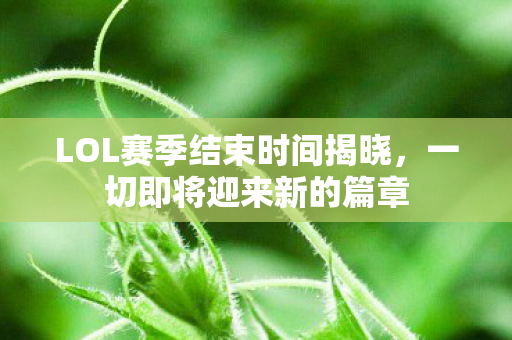 LOL赛季结束时间揭晓，一切即将迎来新的篇章