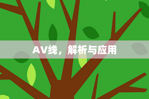 AV线,解析与应用 AV线,解析与应用
