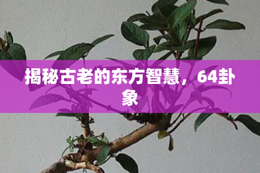 揭秘古老的东方智慧，64卦象
