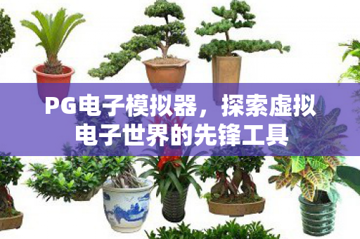 PG电子模拟器，探索虚拟电子世界的先锋工具