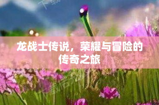 龙战士传说，荣耀与冒险的传奇之旅