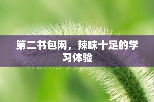 第二书包网，辣味十足的学习体验