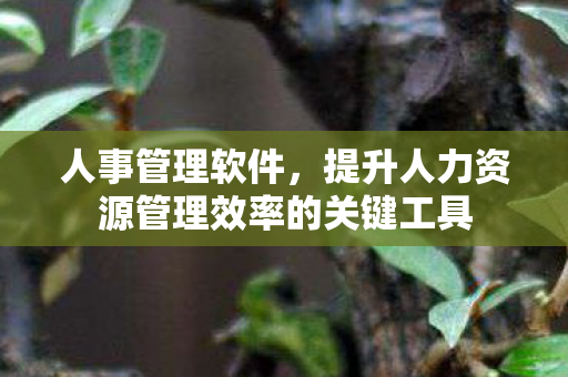 人事管理软件,提升人力资源管理效率的关键工具 人事管理软件,提升人力资源管理效率的关键工具