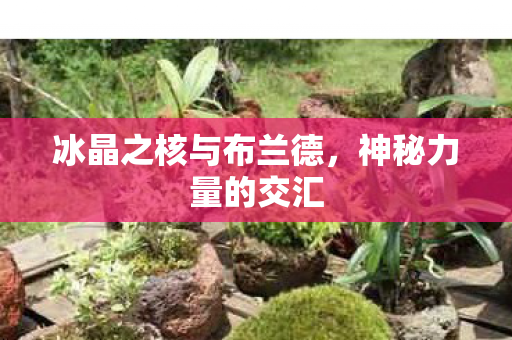 冰晶之核与布兰德,神秘力量的交汇 冰晶之核与布兰德,神秘力量的交汇