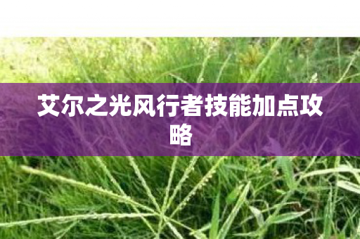 艾尔之光风行者技能加点攻略