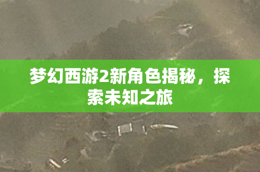 梦幻西游2新角色揭秘，探索未知之旅