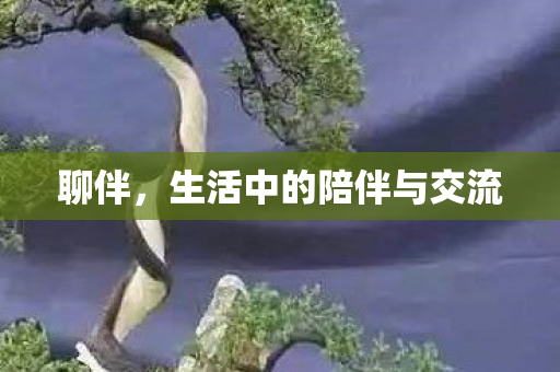 聊伴，生活中的陪伴与交流