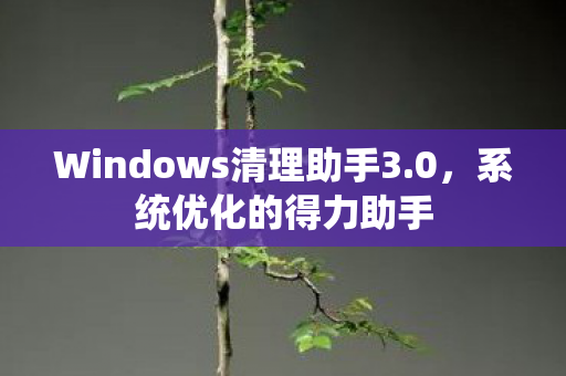 Windows清理助手3.0，系统优化的得力助手
