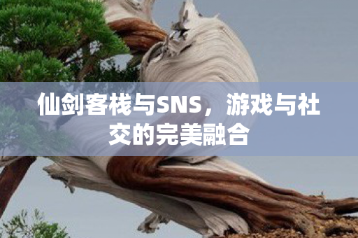 仙剑客栈与SNS，游戏与社交的完美融合