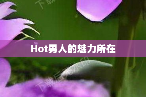Hot男人的魅力所在