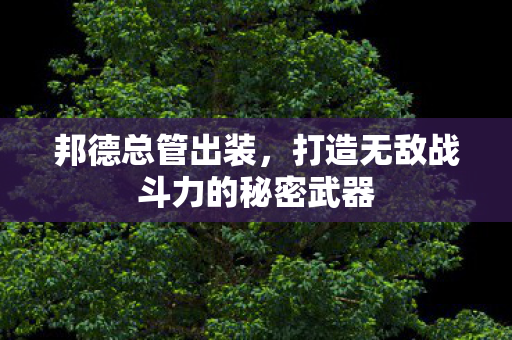 邦德总管出装，打造无敌战斗力的秘密武器