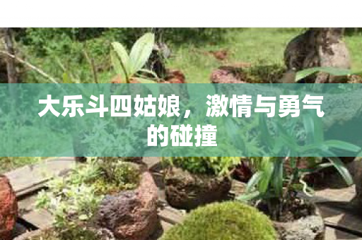 大乐斗四姑娘，激情与勇气的碰撞