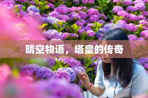 晴空物语,塔皇的传奇 晴空物语,塔皇的传奇