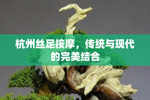 杭州丝足按摩，传统与现代的完美结合