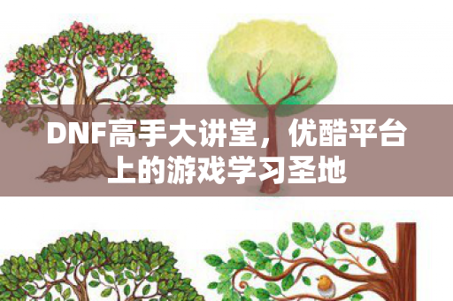 DNF高手大讲堂，优酷平台上的游戏学习圣地