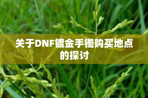 关于DNF镀金手镯购买地点的探讨