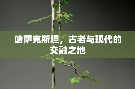 哈萨克斯坦，古老与现代的交融之地