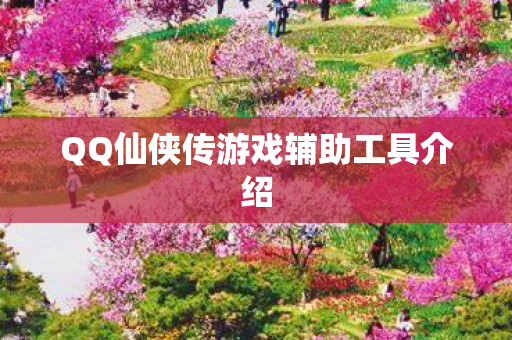 QQ仙侠传游戏辅助工具介绍