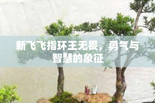 新飞飞指环王无畏，勇气与智慧的象征