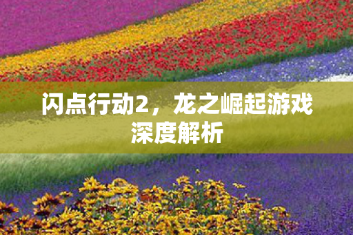 闪点行动2,龙之崛起游戏深度解析 闪点行动2,龙之崛起游戏深度解析