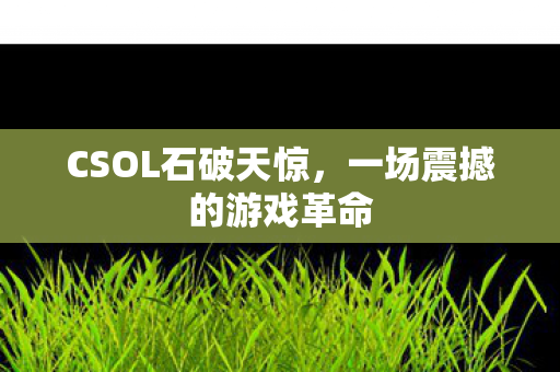 CSOL石破天惊,一场震撼的游戏革命 CSOL石破天惊,一场震撼的游戏革命