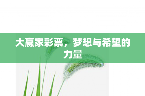 大赢家彩票，梦想与希望的力量