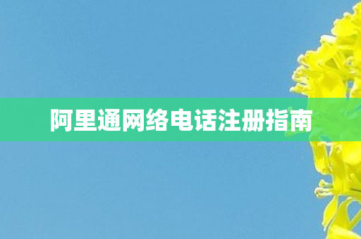 阿里通网络电话注册指南