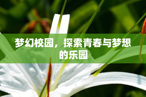 梦幻校园,探索青春与梦想的乐园 梦幻校园,探索青春与梦想的乐园