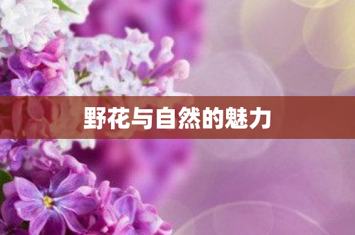 野花与自然的魅力