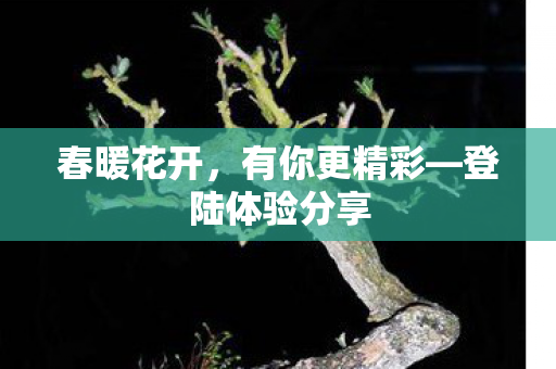 春暖花开,有你更精彩—登陆体验分享 春暖花开,有你更精彩—登陆体验分享