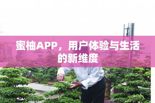 蜜柚APP，用户体验与生活的新维度