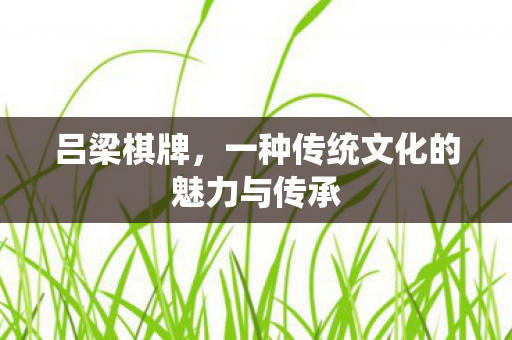 吕梁棋牌,一种传统文化的魅力与传承 吕梁棋牌,一种传统文化的魅力与传承