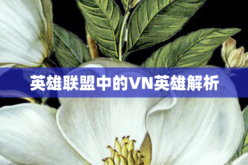 英雄联盟中的VN英雄解析