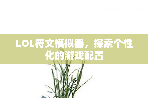 LOL符文模拟器，探索个性化的游戏配置