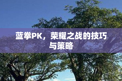 蓝拳PK，荣耀之战的技巧与策略