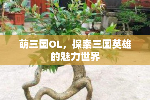 萌三国OL，探索三国英雄的魅力世界