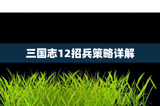 三国志12招兵策略详解