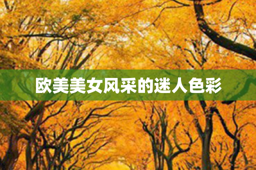 欧美美女风采的迷人色彩