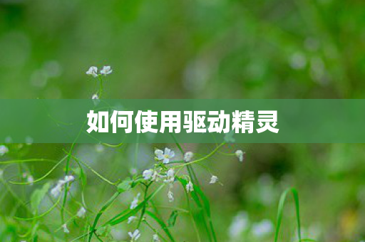 如何使用驱动精灵