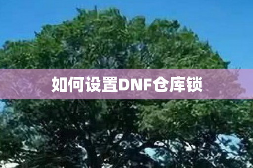 如何设置DNF仓库锁