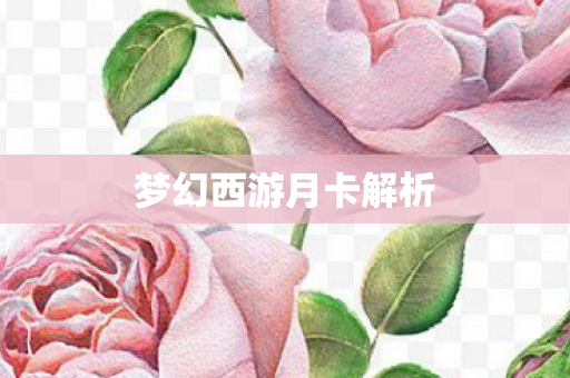 梦幻西游月卡解析