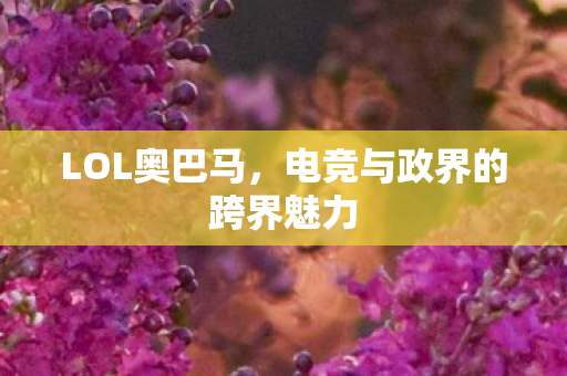 LOL奥巴马，电竞与政界的跨界魅力