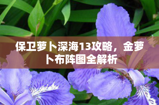 保卫萝卜深海13攻略，金萝卜布阵图全解析