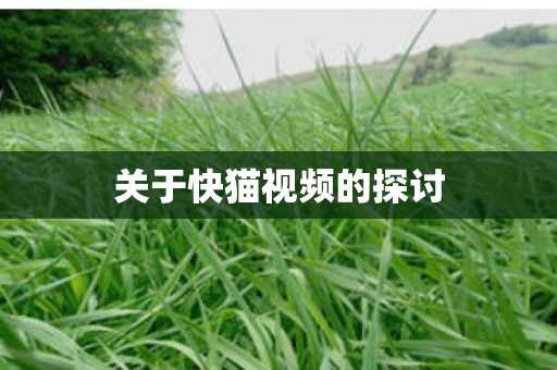 关于快猫视频的探讨 关于快猫视频的探讨